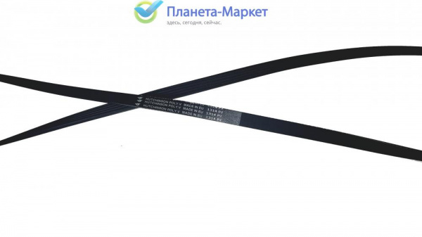Ремень 1314 J5 HUTCHINSON BLJ811UN, AV09118