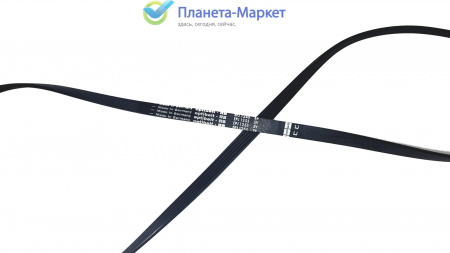 Ремень 1255 J5 OPTIBELT 439490 BLJ535UN